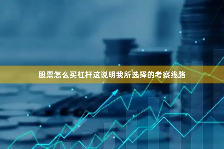 股票怎么买杠杆这说明我所选择的考察线路