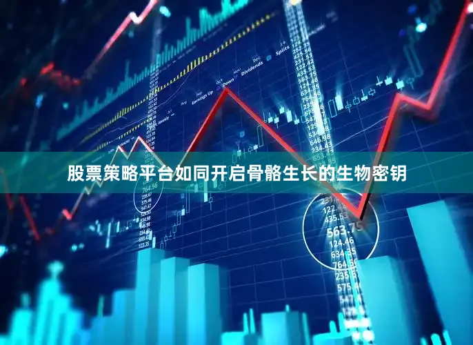 股票策略平台如同开启骨骼生长的生物密钥
